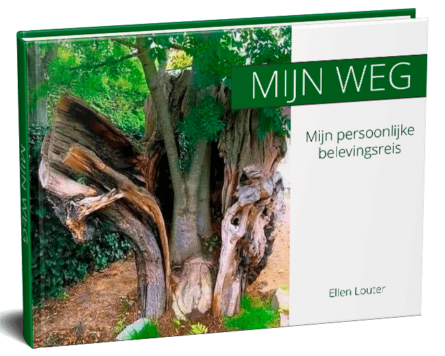 ebook-cover-2